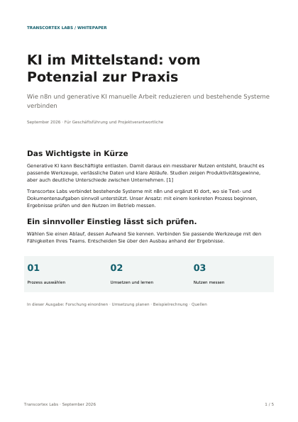 Titelseite des Whitepapers KI im Mittelstand